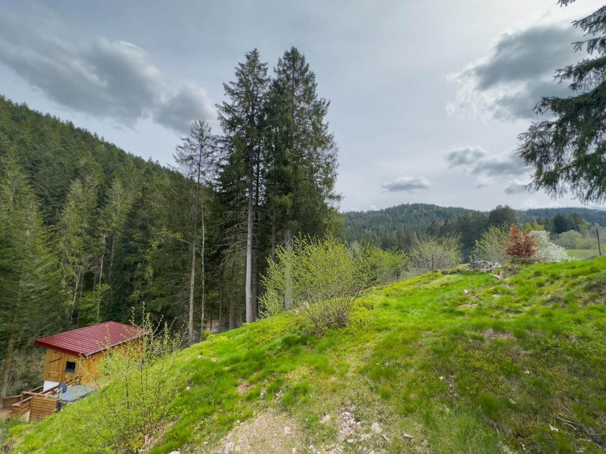 Le Refuge Perche Du Saut De La Bourrique Spa, Terrain Cloture Gérardmer Kültér fotó