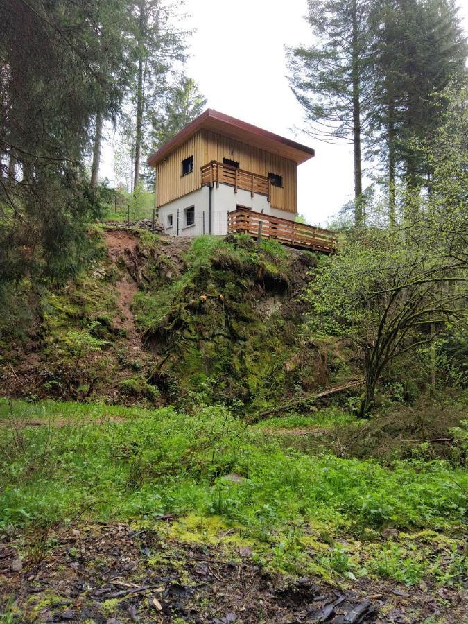 Le Refuge Perche Du Saut De La Bourrique Spa, Terrain Cloture Gérardmer Kültér fotó