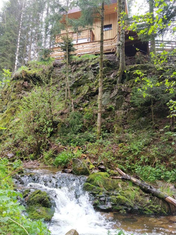 Le Refuge Perche Du Saut De La Bourrique Spa, Terrain Cloture Gérardmer Kültér fotó