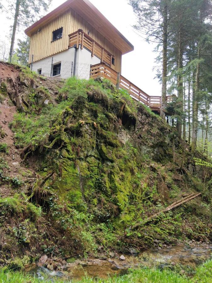 Le Refuge Perche Du Saut De La Bourrique Spa, Terrain Cloture Gérardmer Kültér fotó