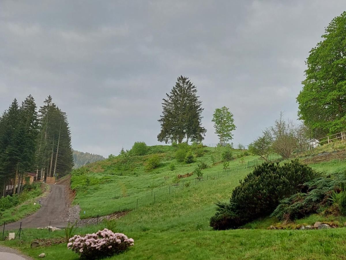 Le Refuge Perche Du Saut De La Bourrique Spa, Terrain Cloture Gérardmer Kültér fotó