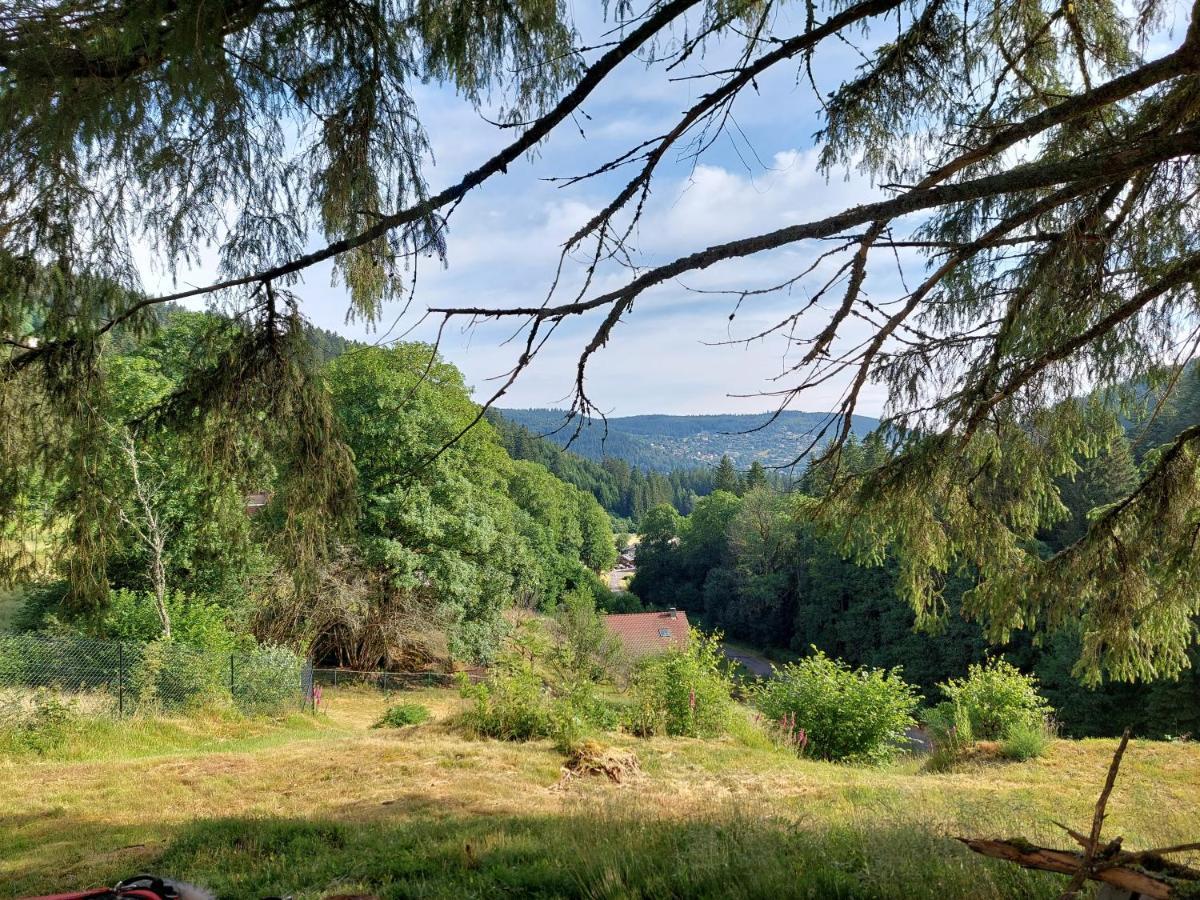 Le Refuge Perche Du Saut De La Bourrique Spa, Terrain Cloture Gérardmer Kültér fotó