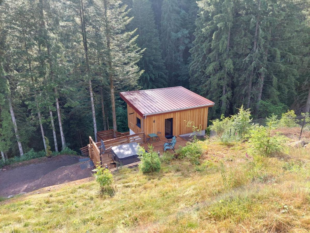 Le Refuge Perche Du Saut De La Bourrique Spa, Terrain Cloture Gérardmer Kültér fotó
