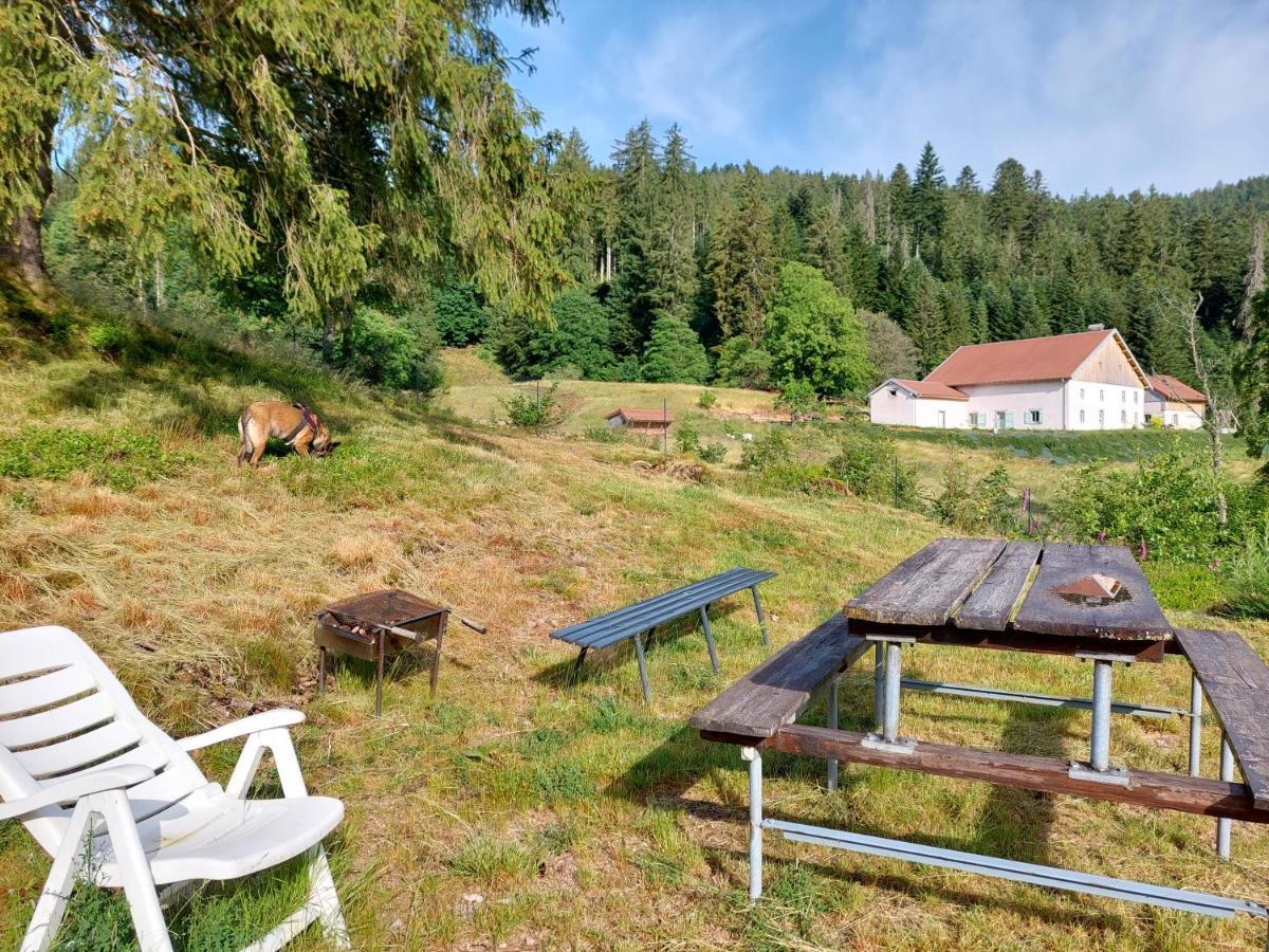 Le Refuge Perche Du Saut De La Bourrique Spa, Terrain Cloture Gérardmer Kültér fotó